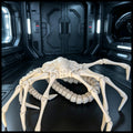 Alien Facehugger