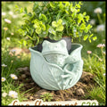 Frog Flower Pot
