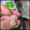 Natsu dumpling