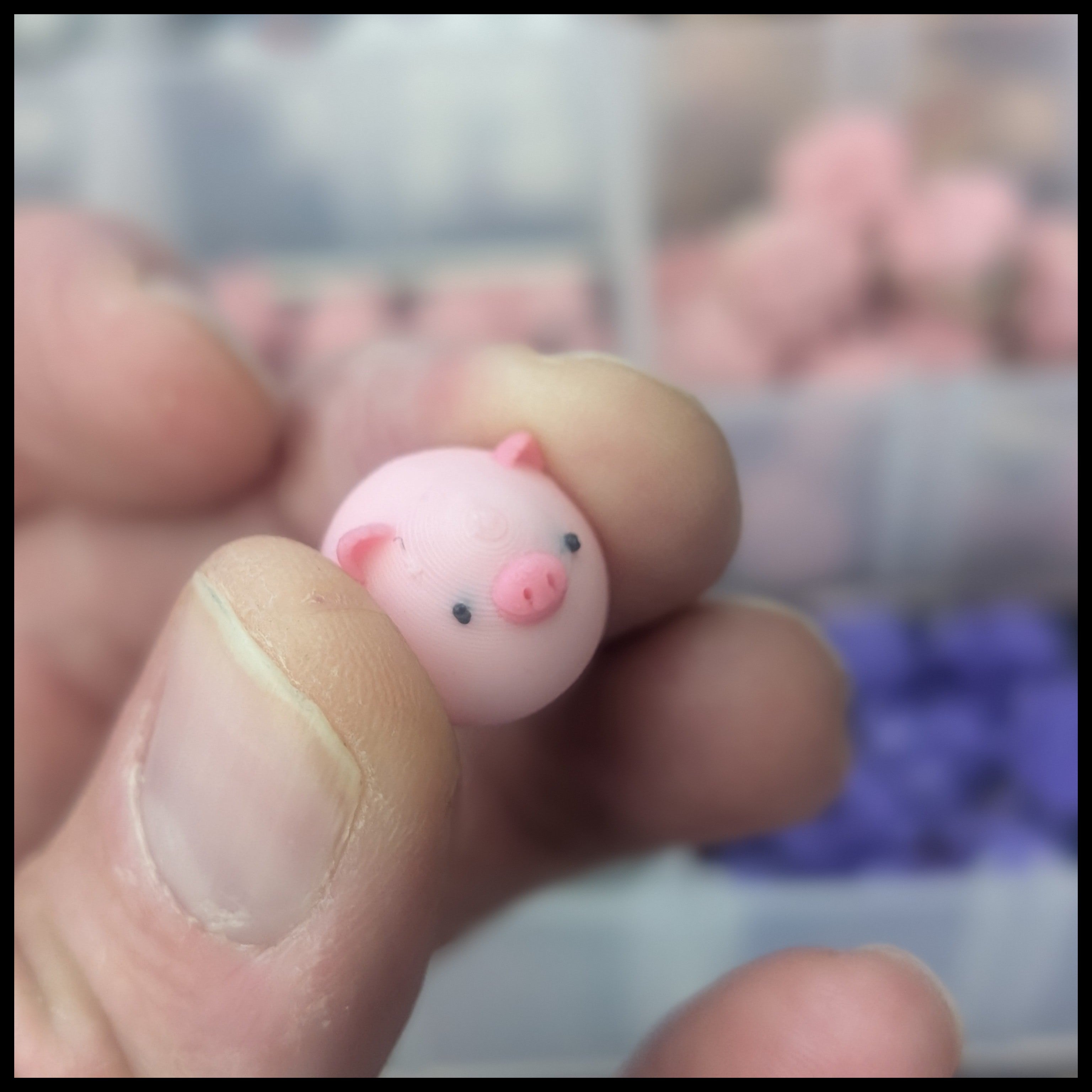 Pig dumpling