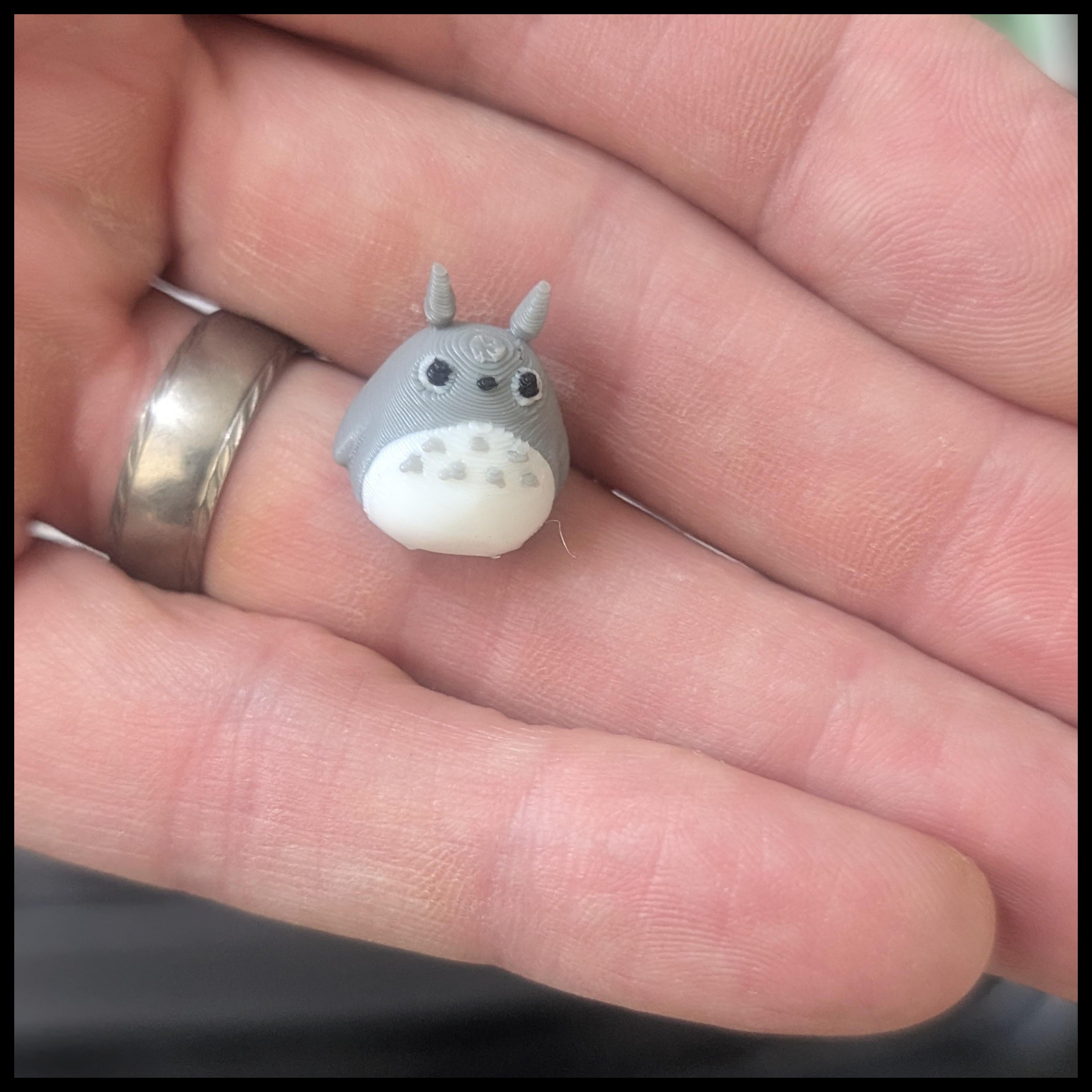 Totoro dumpling